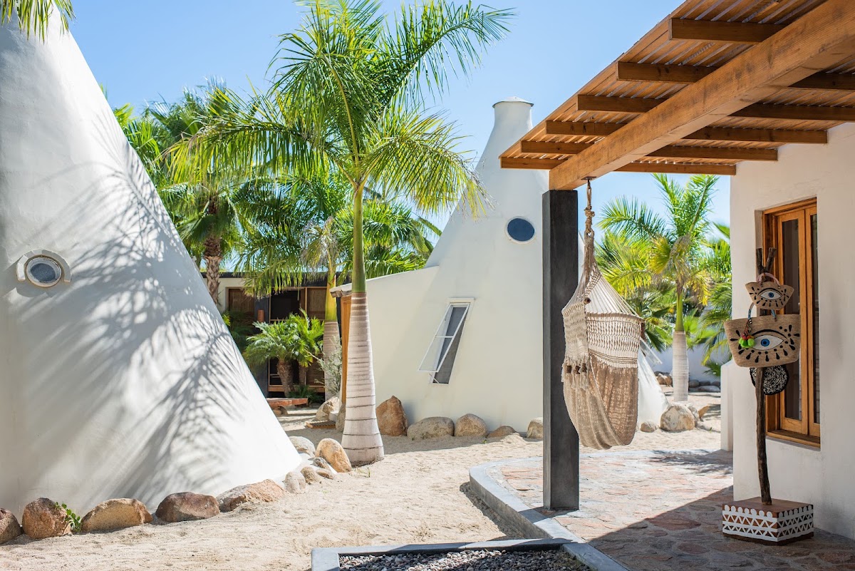Tribu Todos Santos gallery 10