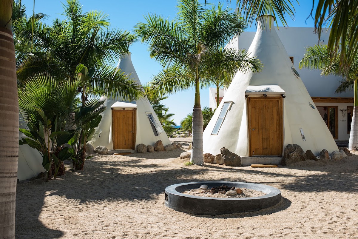 Tribu Todos Santos gallery 4