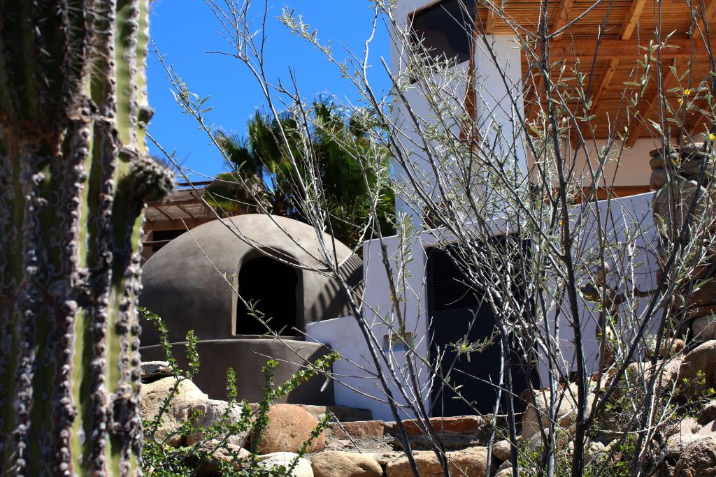Tribu Todos Santos gallery 6