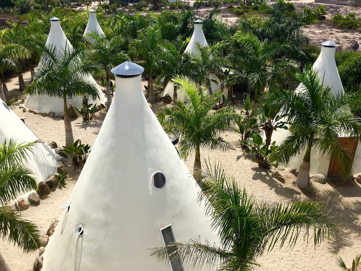 Tribu Todos Santos gallery 9
