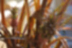 Casa Celeste Hotel gallery 14