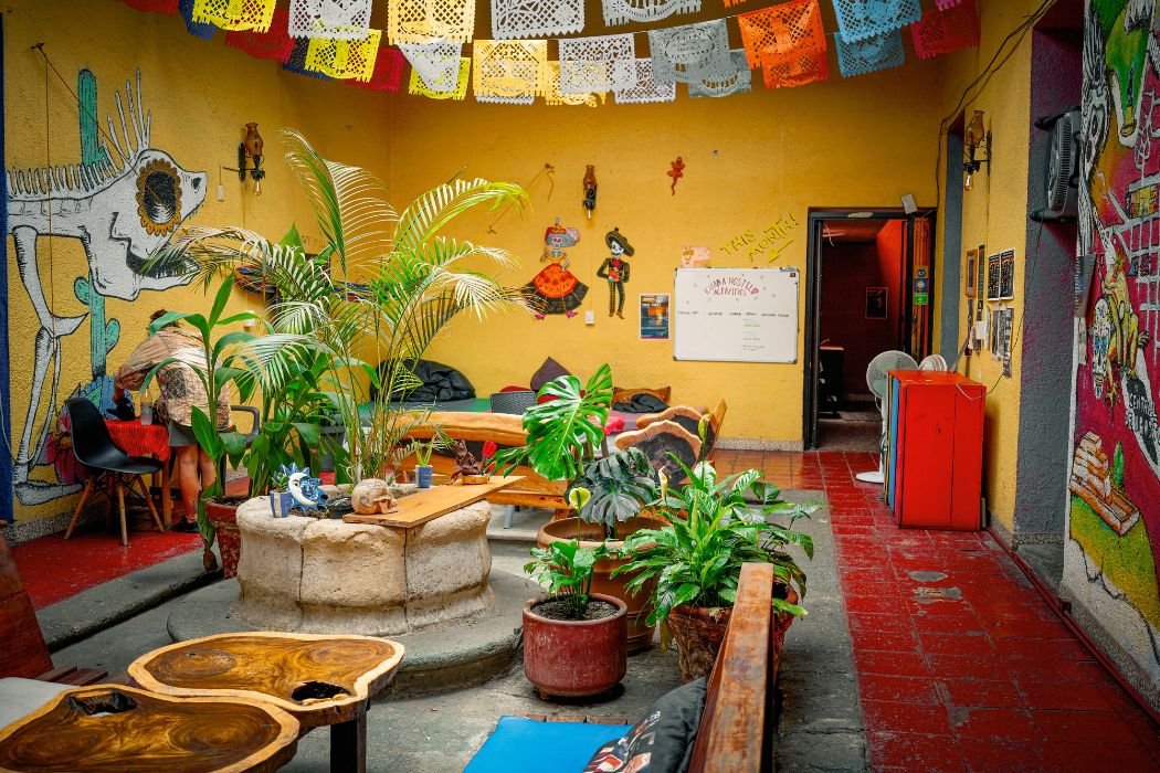 Iguana Hostel Oaxaca gallery 12