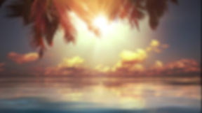 Playa Arena gallery 12
