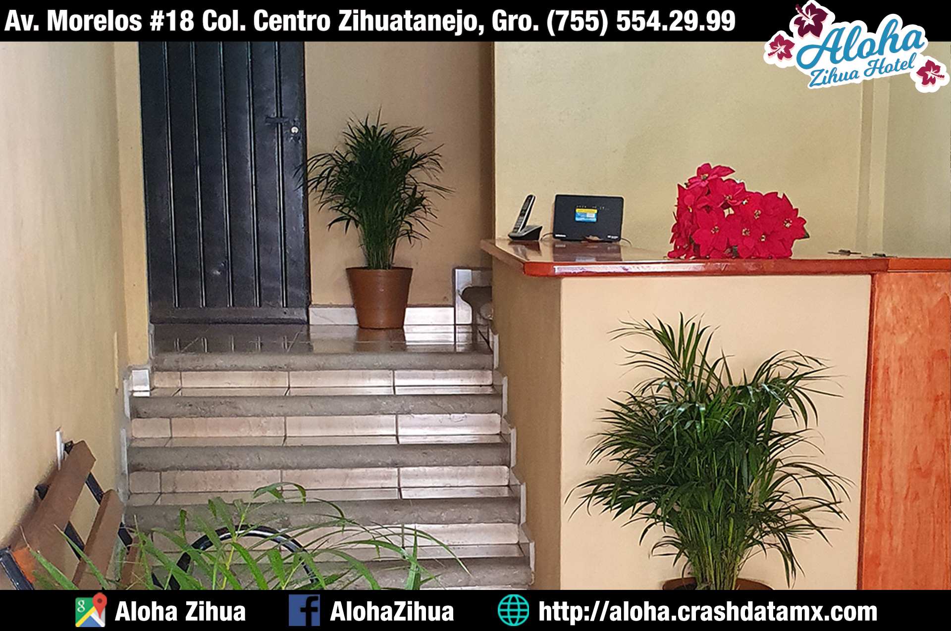 Aloha Zihua Hotel gallery 14