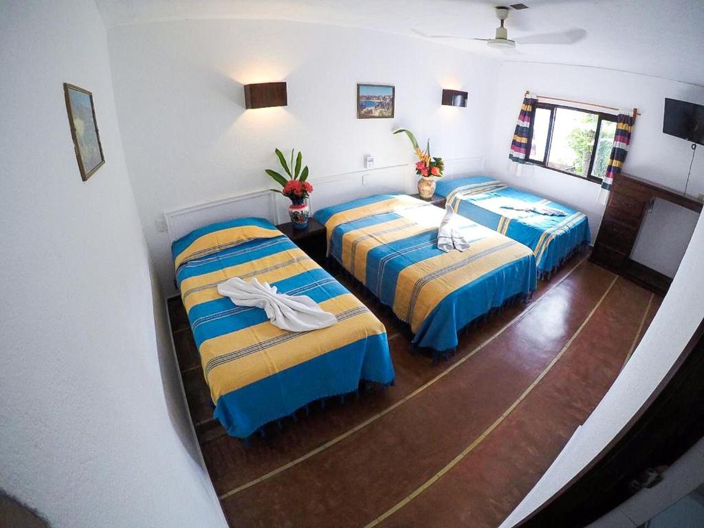 Hotel Monte Cassino gallery 11