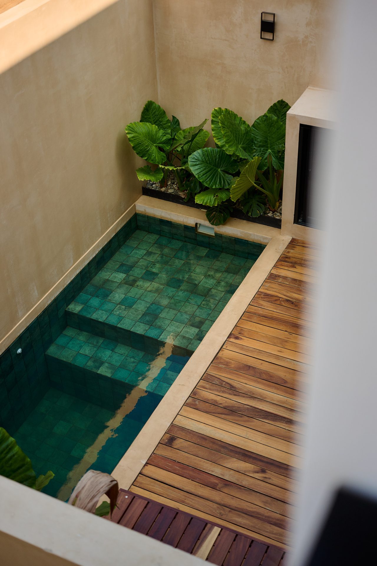 Compartir gallery 11