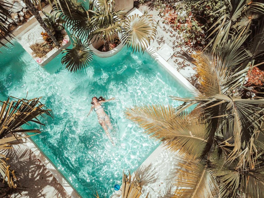 Hotel Buenavista Bacalar Jungle Experience gallery 11