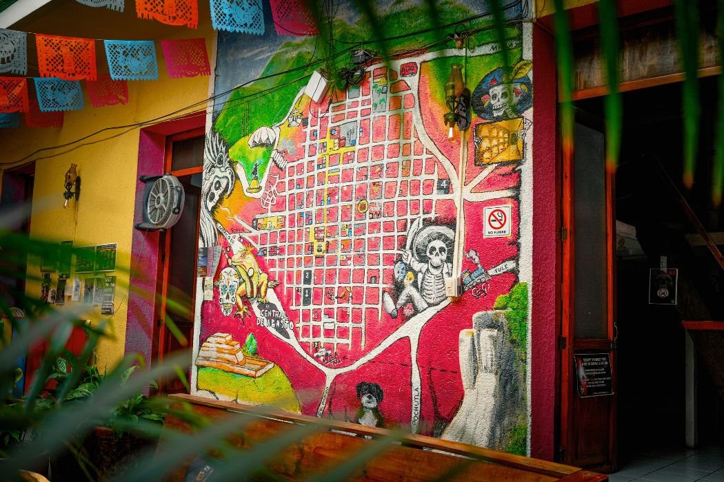 Iguana Hostel Oaxaca gallery 13