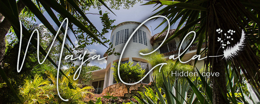 Maya Cala gallery 11