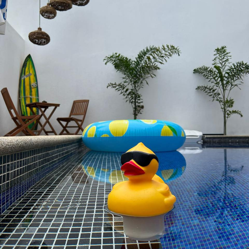 Punta Kai gallery 11