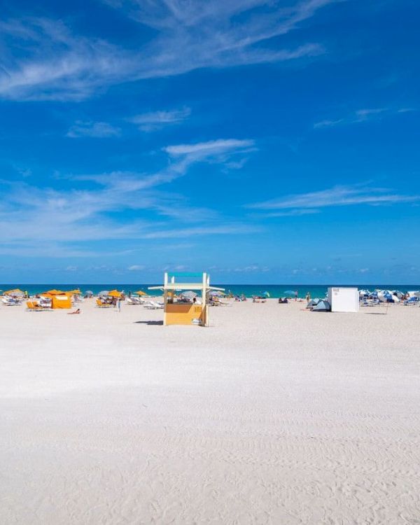 Collins 2 Bedroom with Free Parking by Deco 305 gallery 4