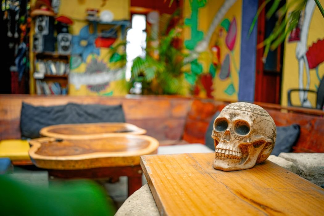 Iguana Hostel Oaxaca gallery 11