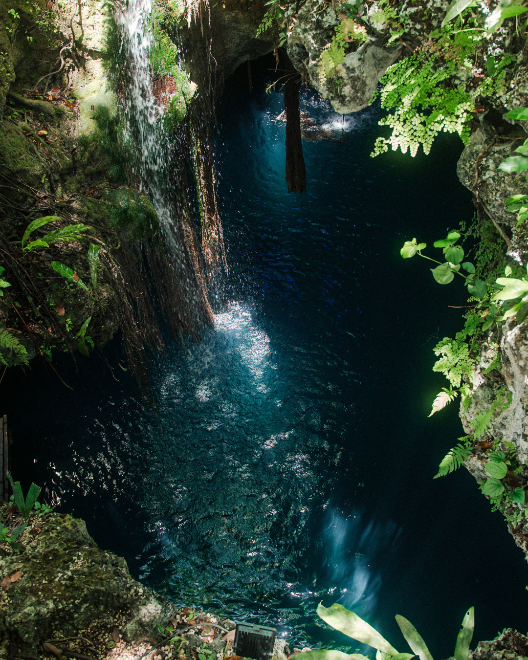 Cenote Elvira gallery 13