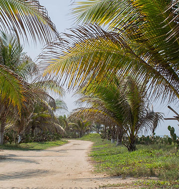 Ashram Puerto Escondido gallery 12