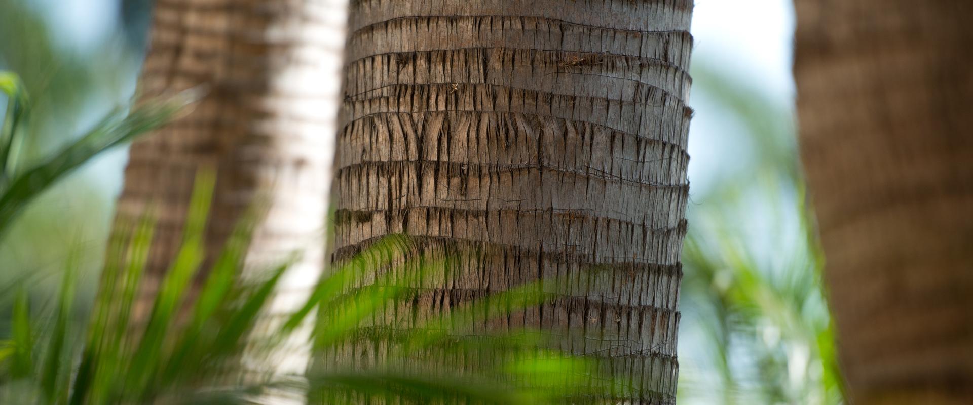 Blue Diamond Wellness Resort gallery 14