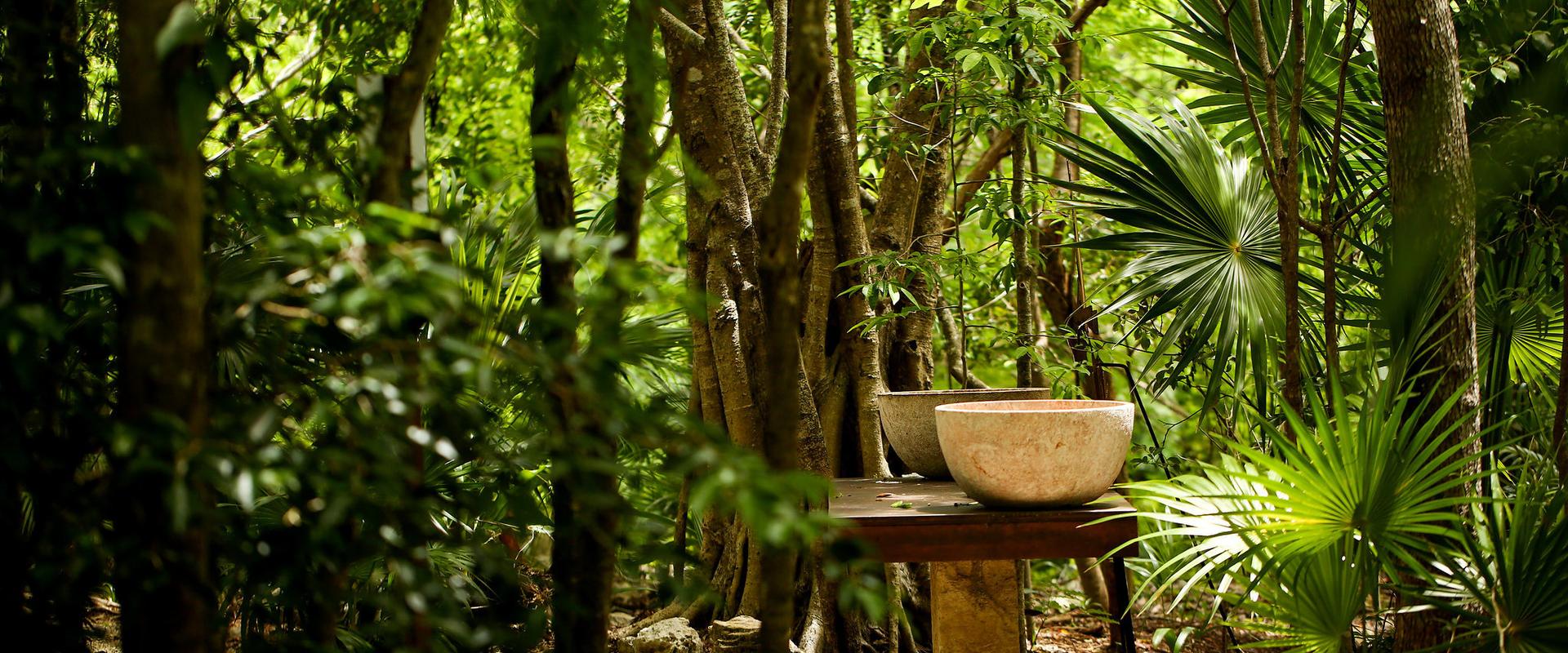 Blue Diamond Wellness Resort gallery 13