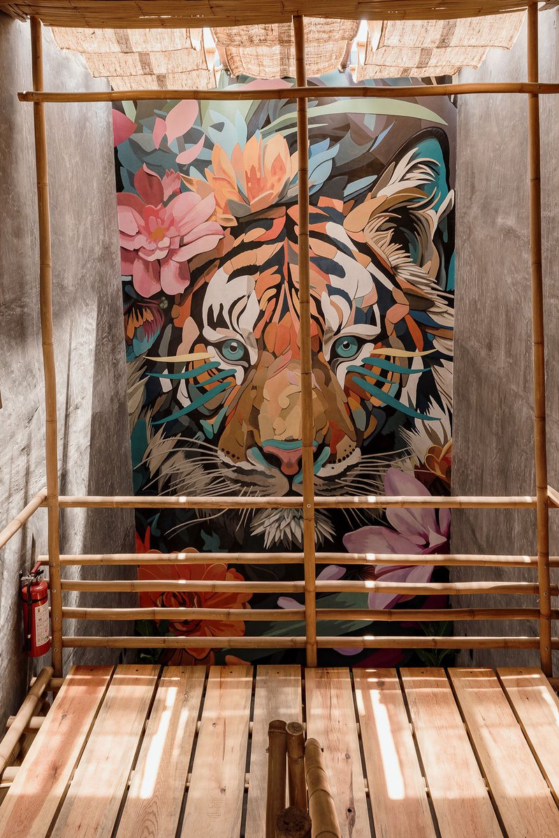 Hotel Casa Tigre gallery 10