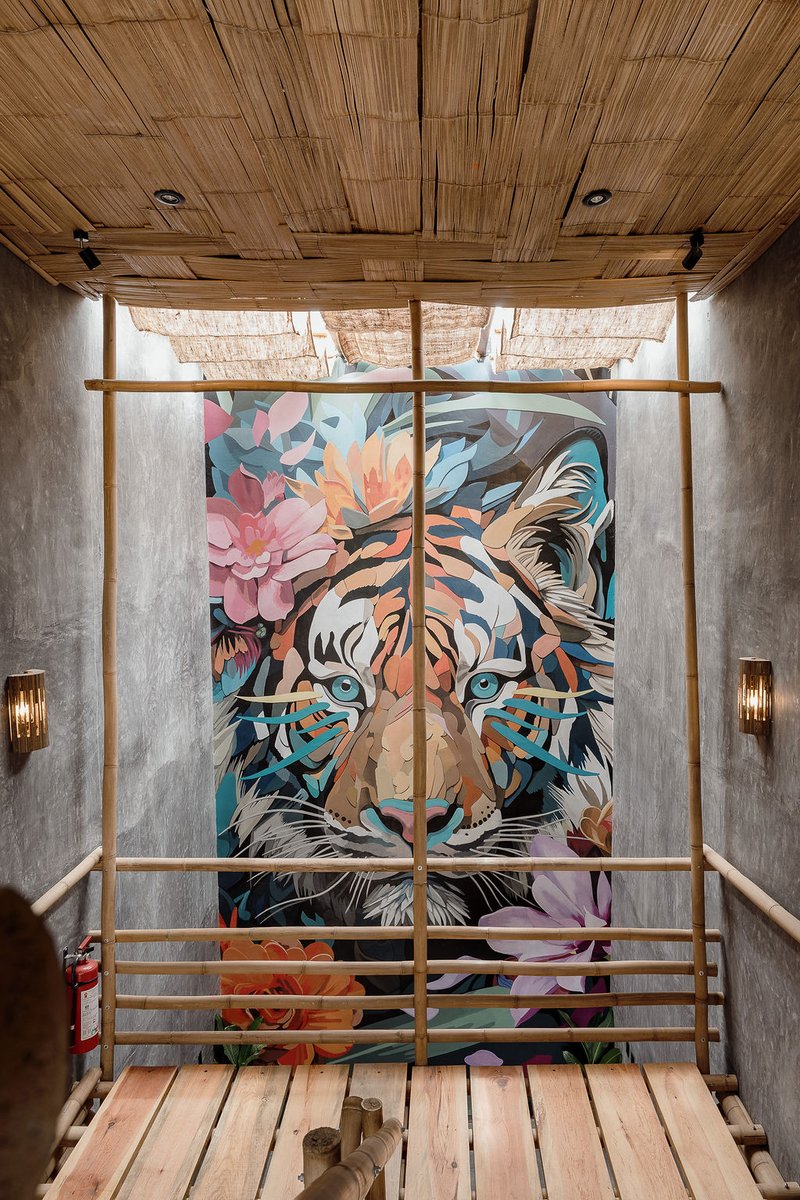 Hotel Casa Tigre gallery 12
