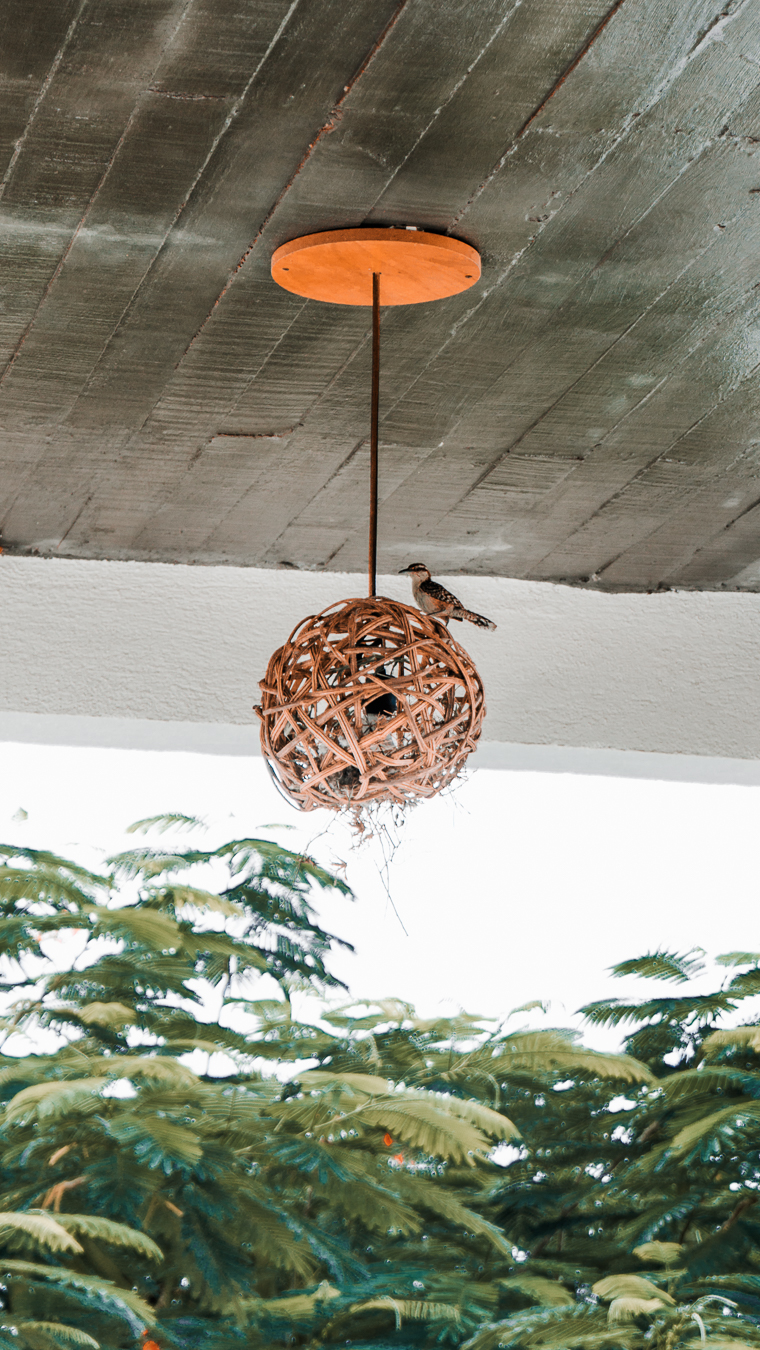Bosque Escondido PXM gallery 11