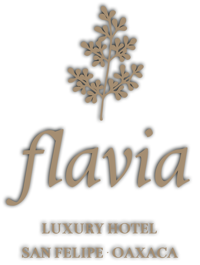 Flavia Hotel gallery 11