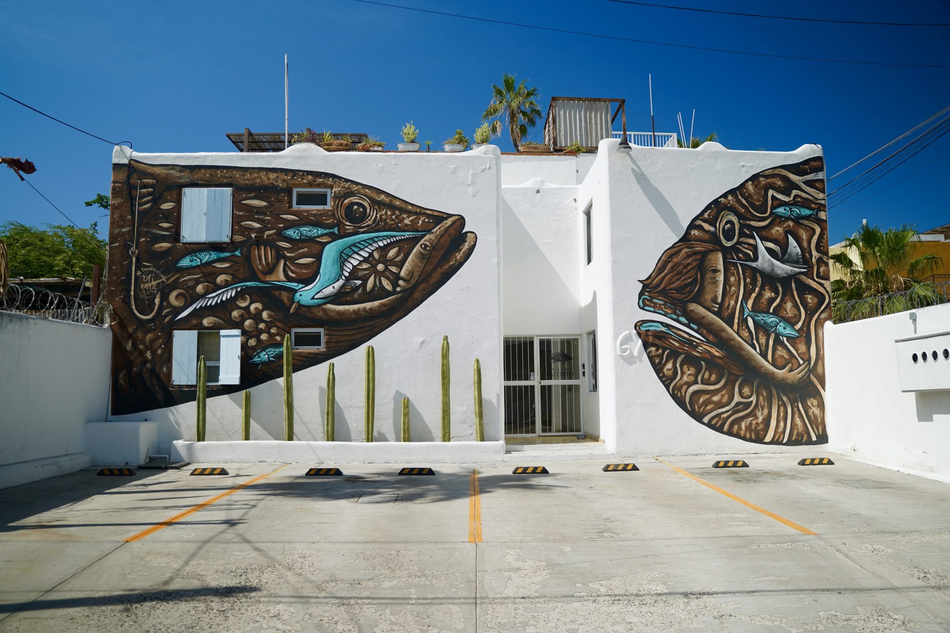 Villa Esterito gallery 15