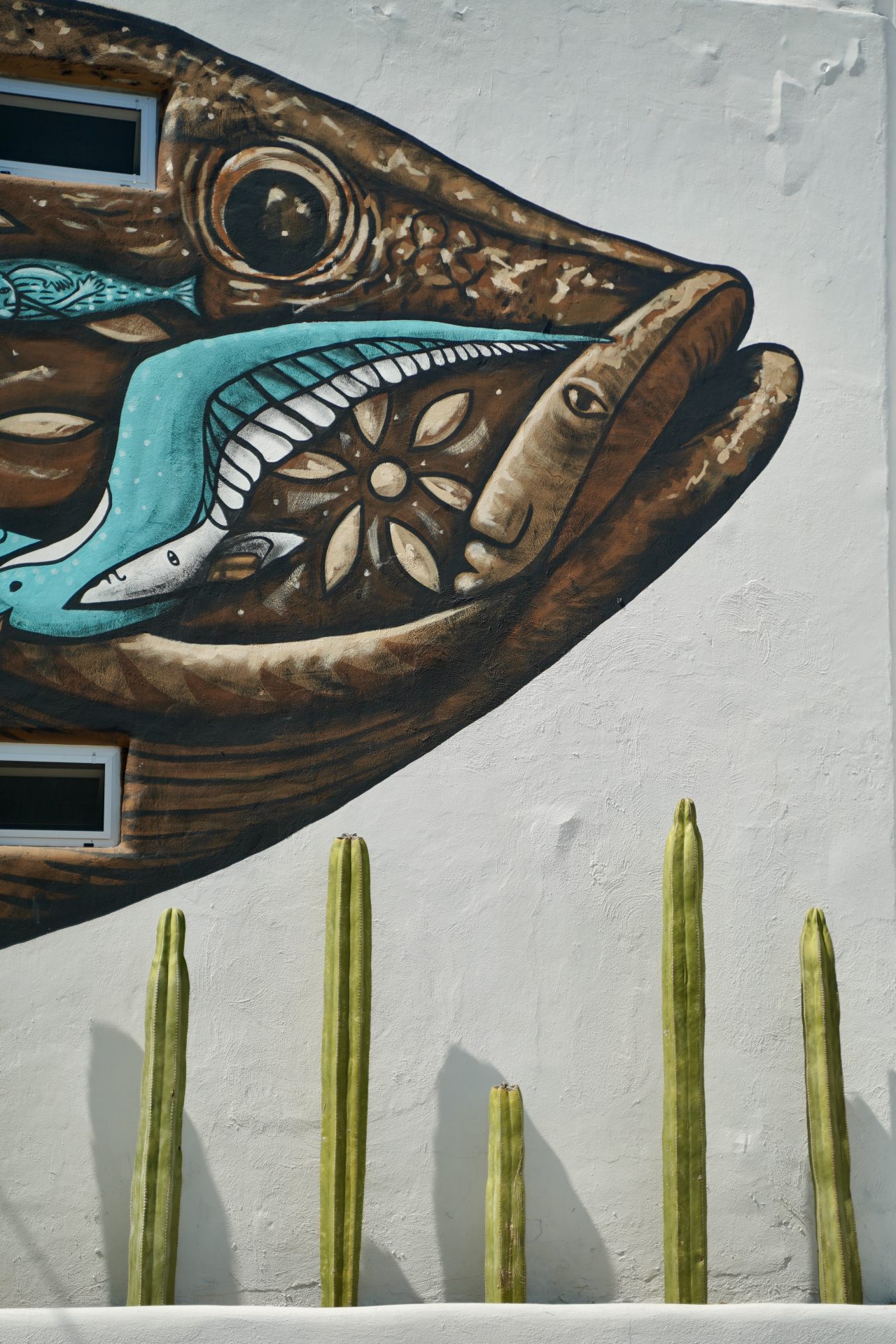 Villa Esterito gallery 12
