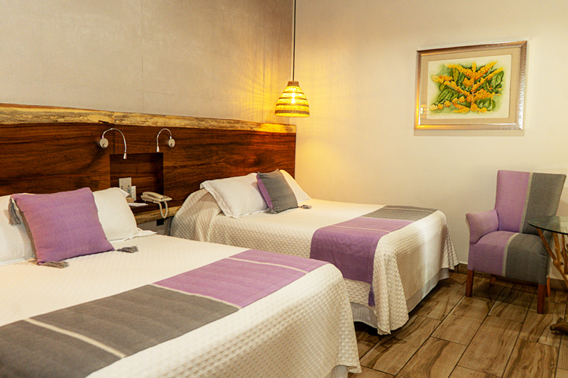 Hotel Casa Vertiz gallery 14