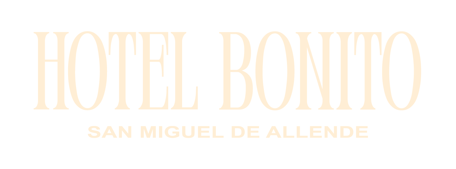 Hotel Bonito San Miguel de Allende gallery 11