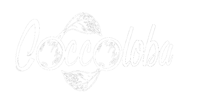 Coccoloba Suites Zicatela gallery 12