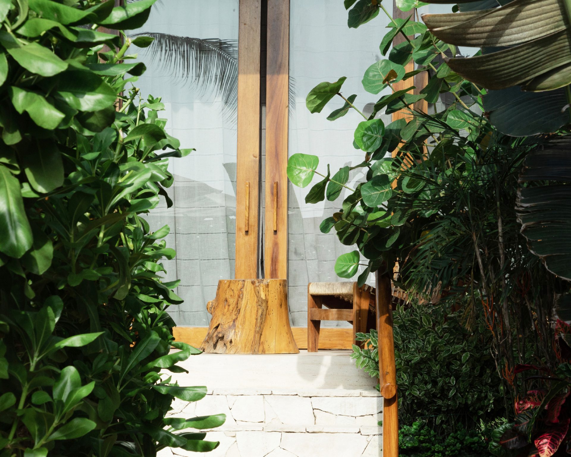 Casa Joseph Zicatela gallery 12