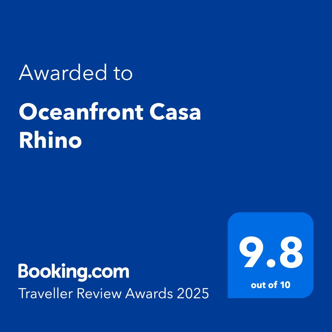 Casa Rhino gallery 12