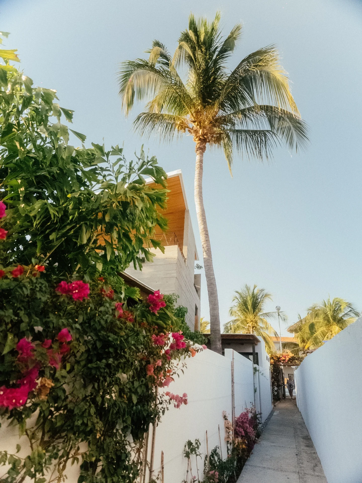 Casa Pelicano gallery 6