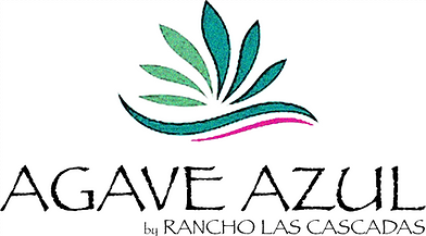 Agave Azul gallery 12