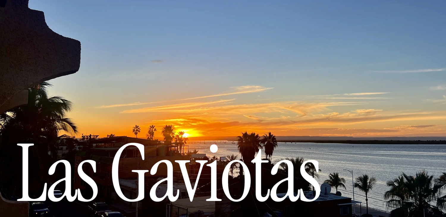 Las Gaviotas Resort gallery 11