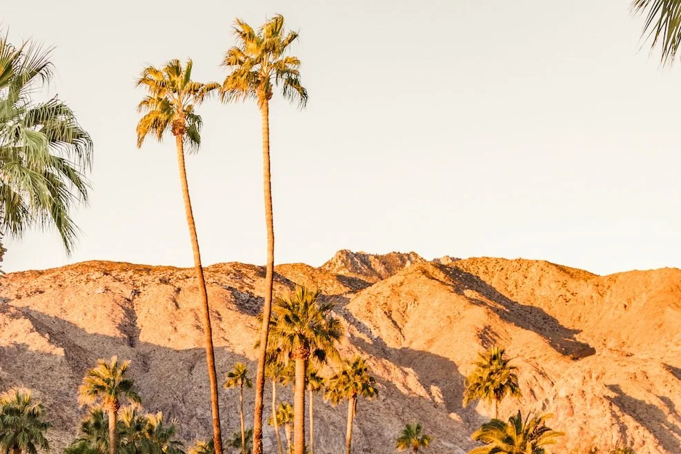 Terra Palm Springs gallery 14
