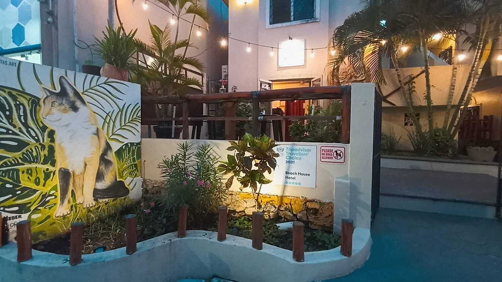 Beach House Hotel gallery 11