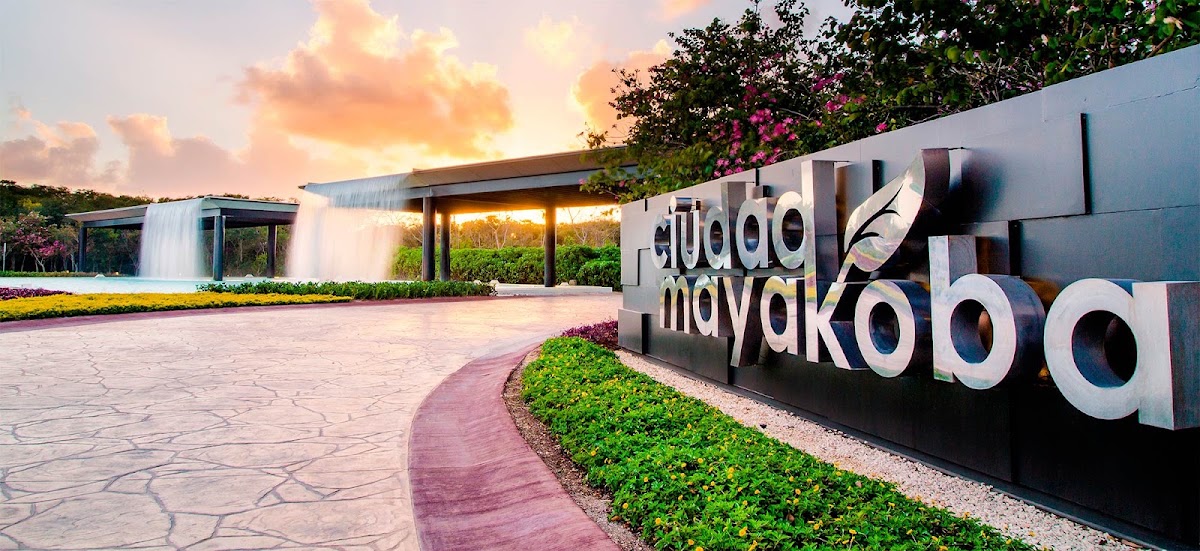 Airbnb Playa Del Carmen gallery 6