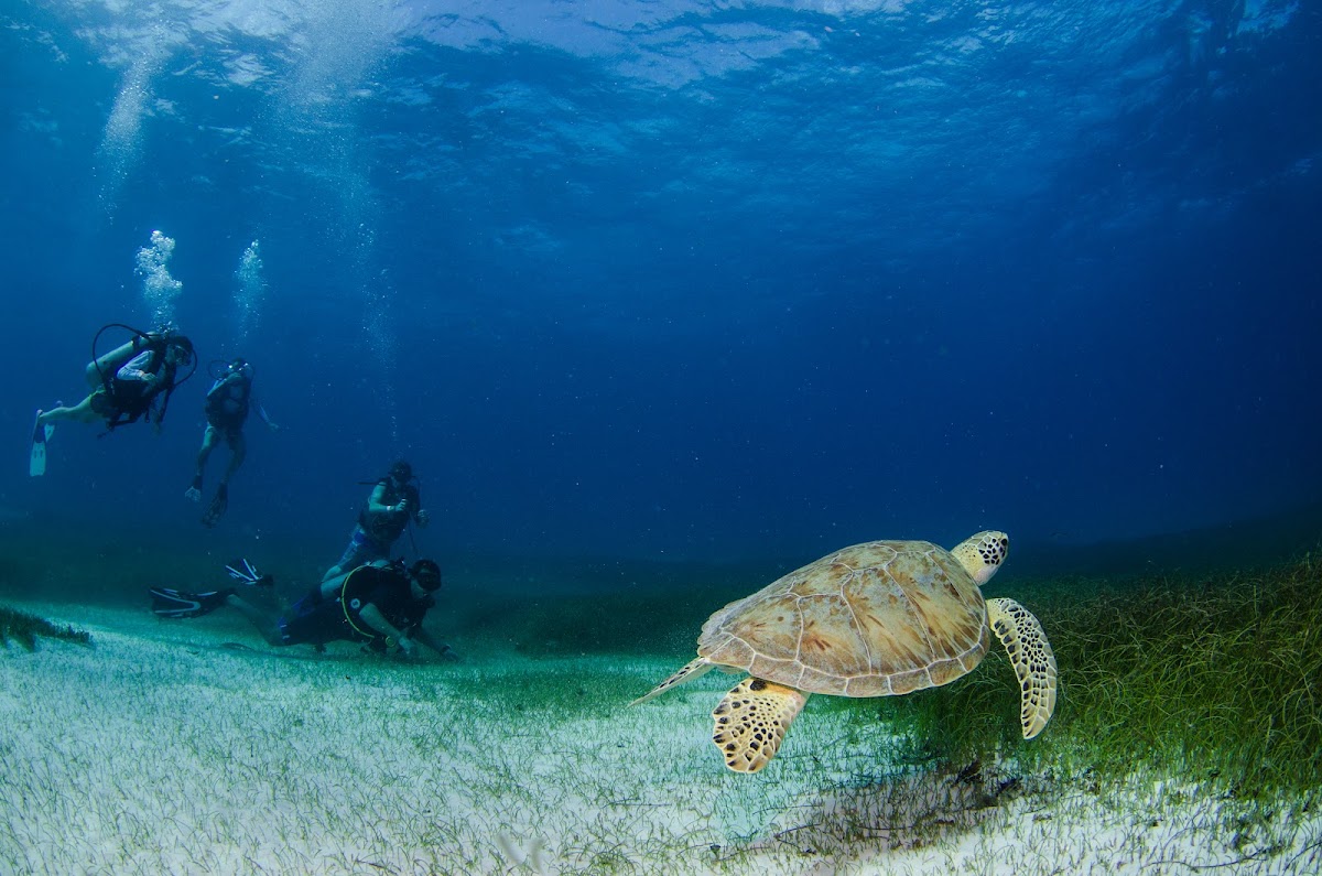 Akumal Natura Glamping gallery 5