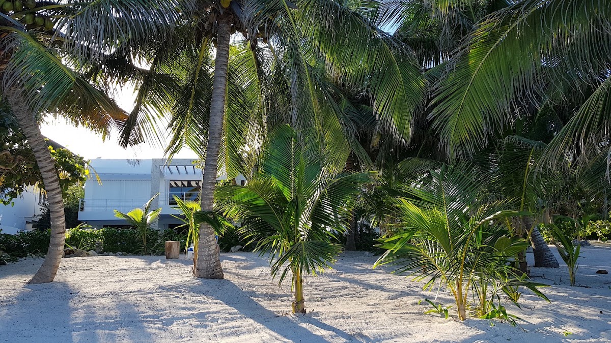 AKUMAL SUNRISE Villa gallery 6
