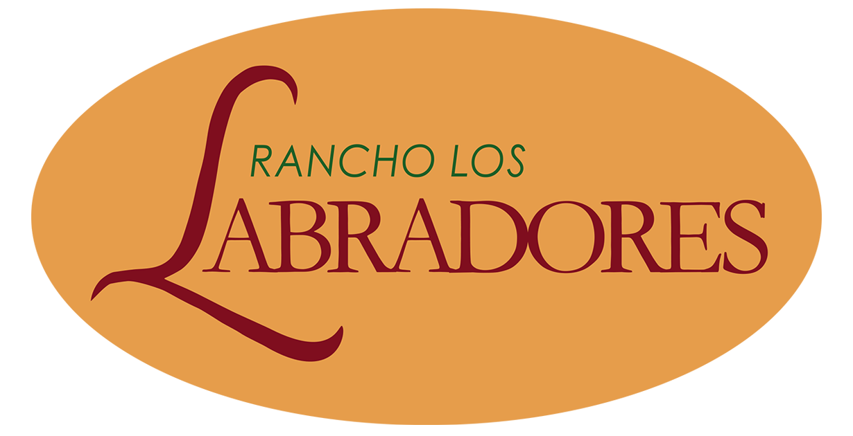 Rancho los Labradores gallery 11