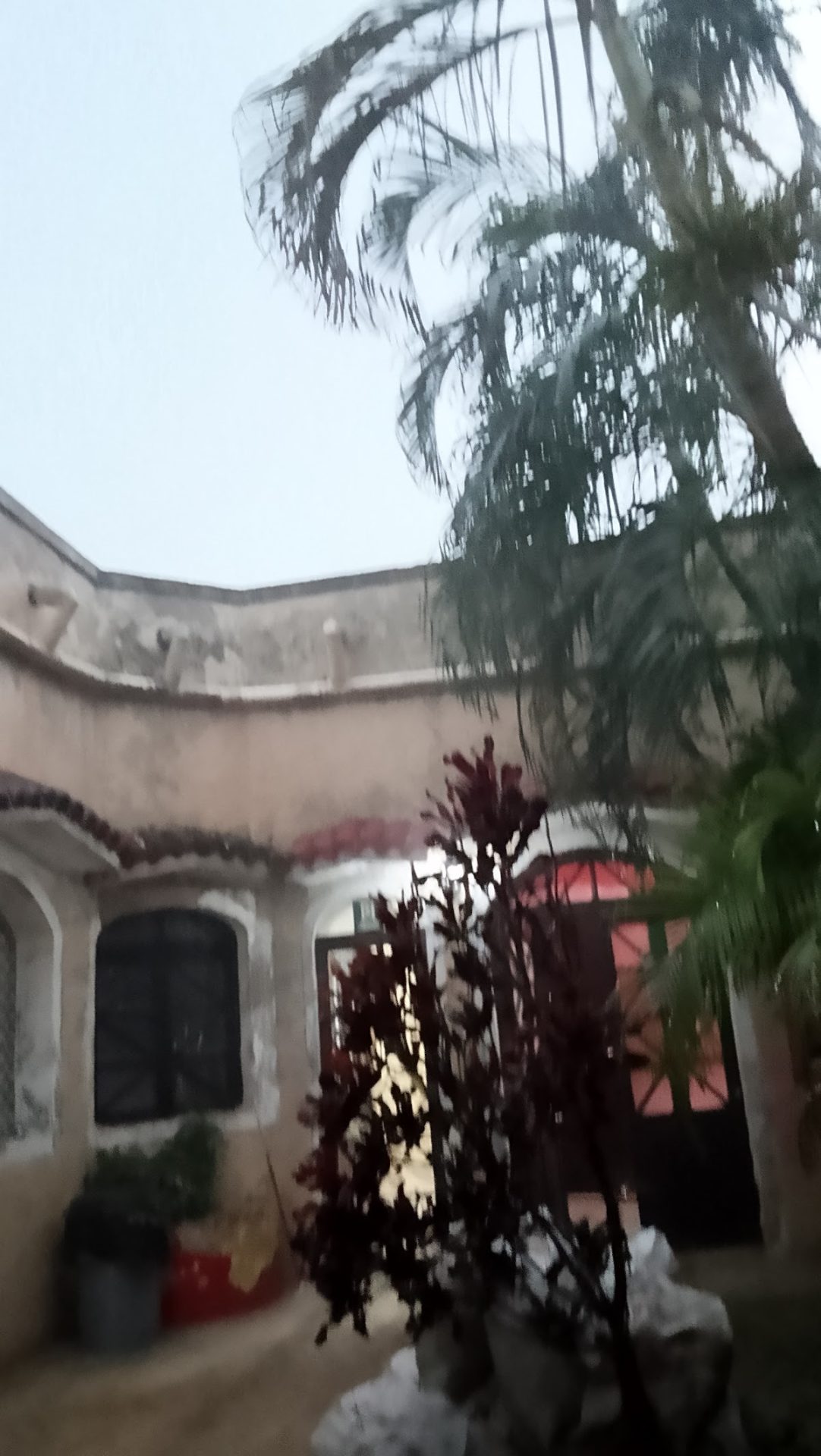 Alondra HOTEL gallery 3