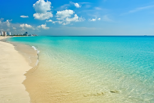 Angler's Hotel - Miami Beach gallery 10