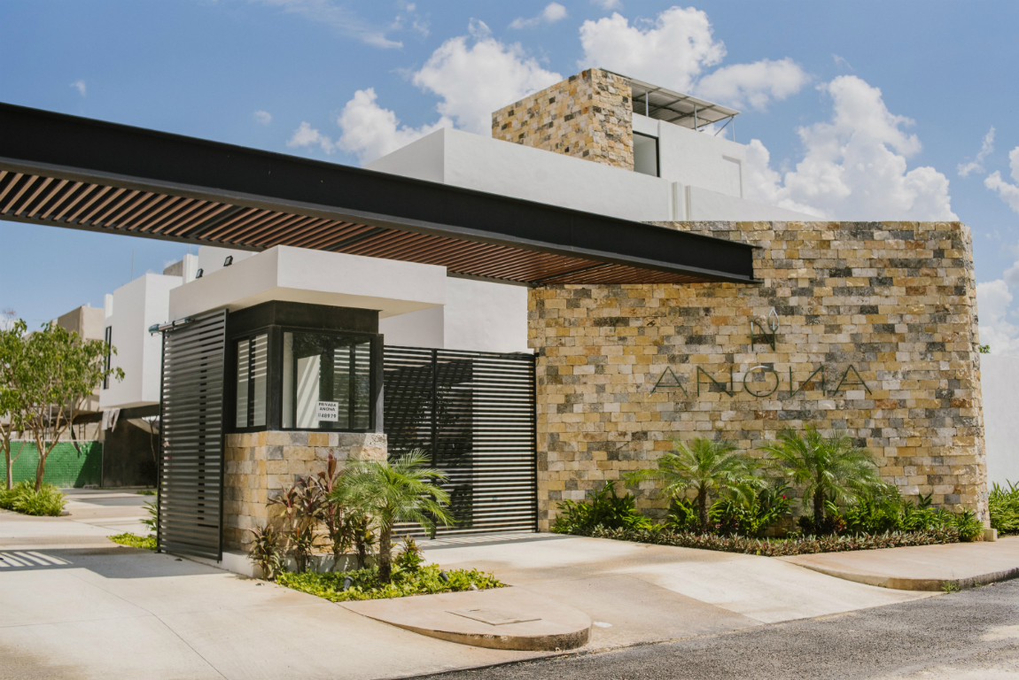 ANONA gallery 1