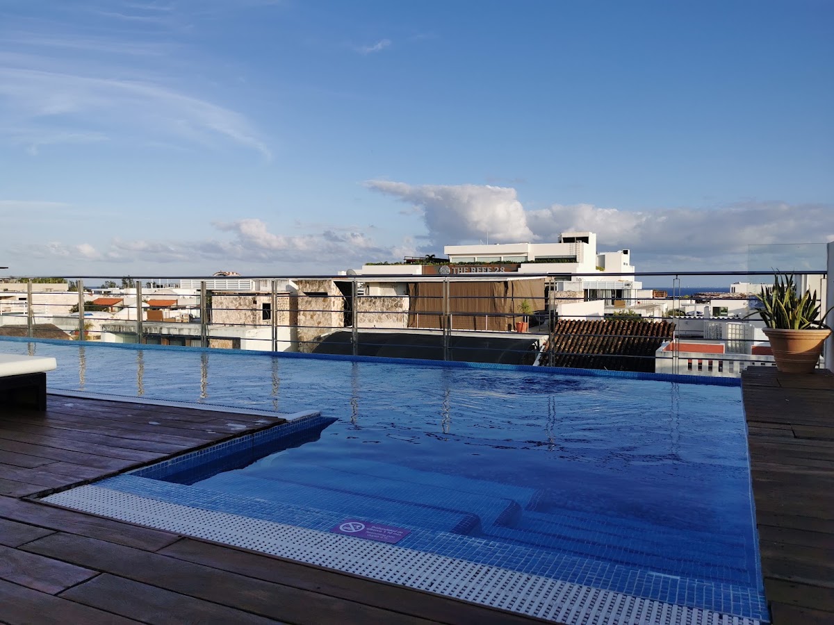 Artisan Senses Hotels Collection 5a. Avenida -Adults Only- gallery 1