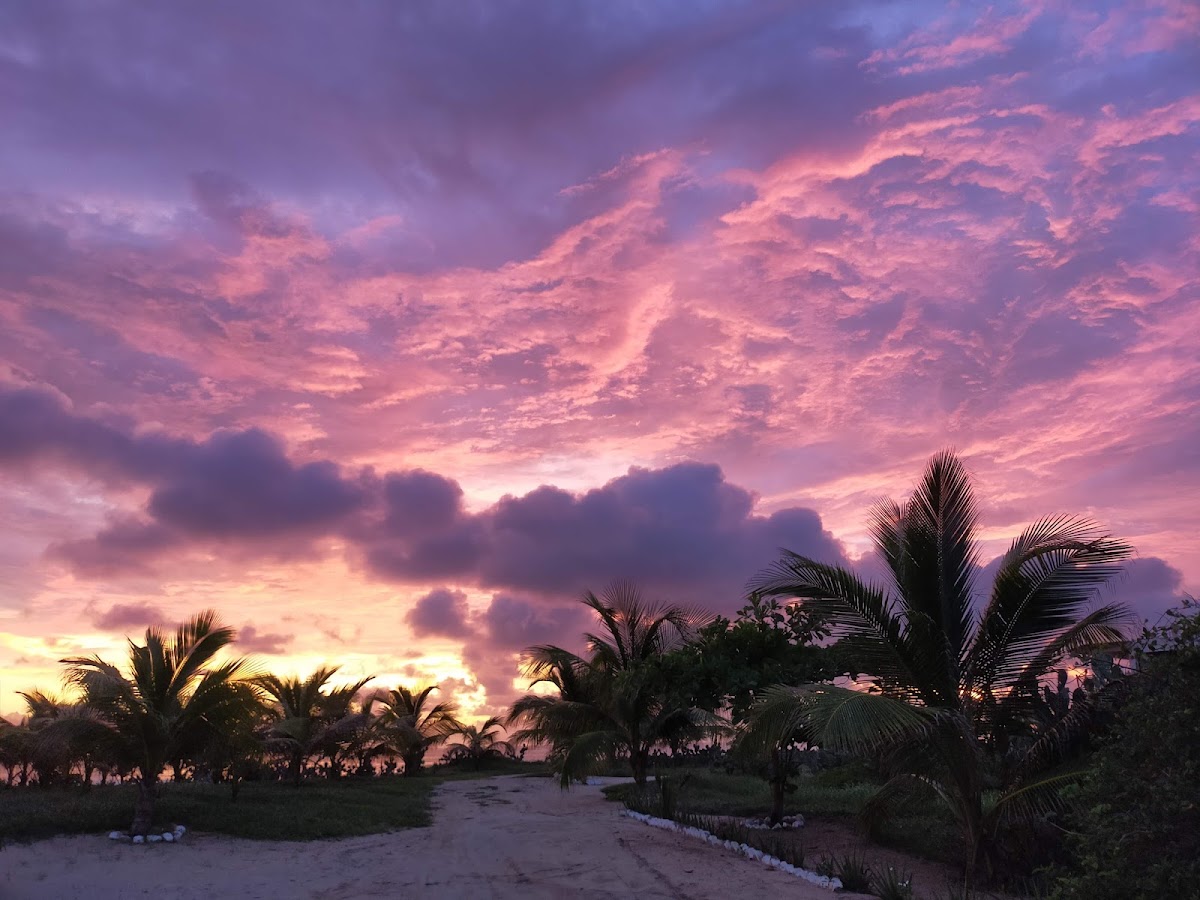 Ashram Puerto Escondido gallery 10