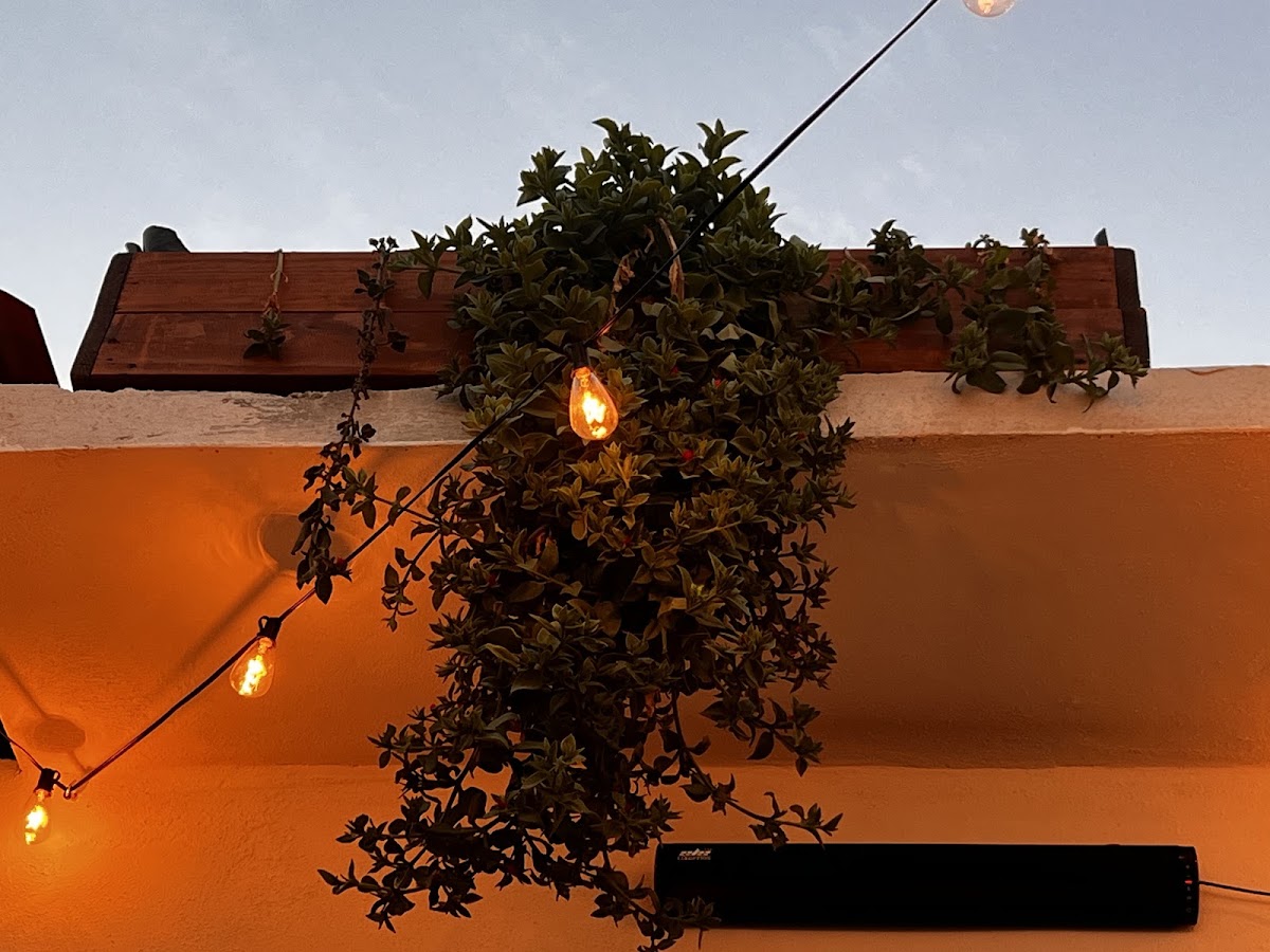 Baja Real Hotel Boutique gallery 8