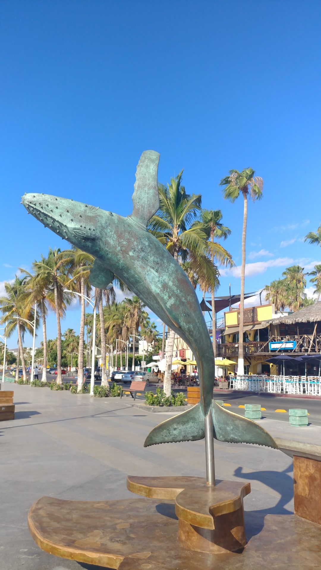 Baja Sol Suites Hotel gallery 1