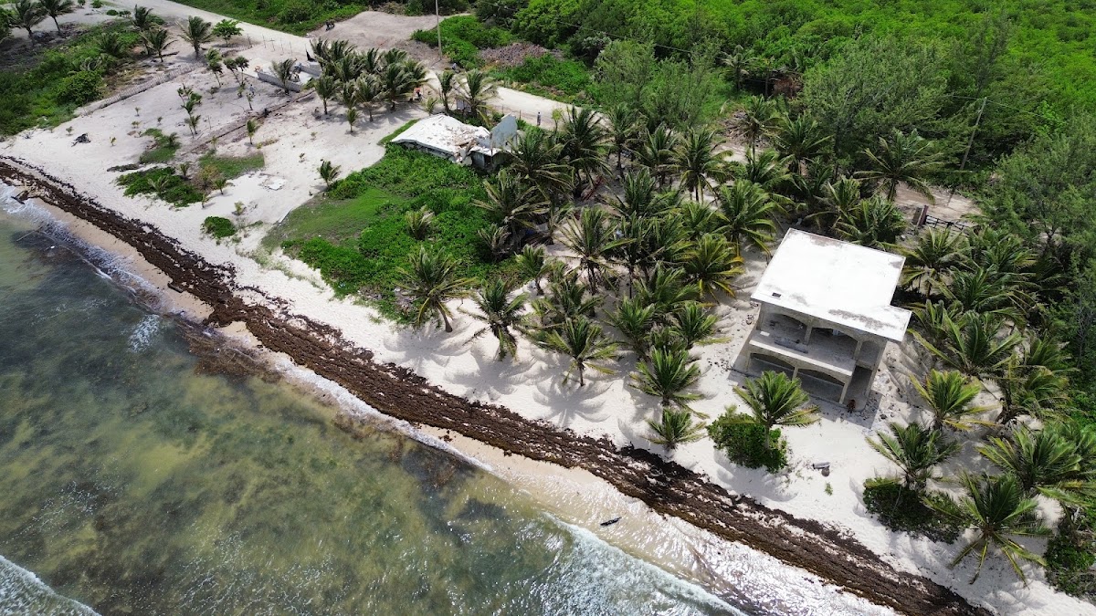 Bamboo Beach Mahahual gallery 2