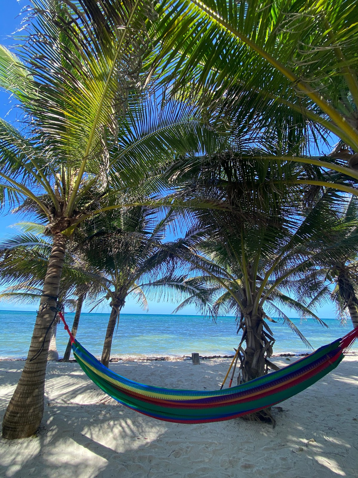 Bamboo Beach Mahahual gallery 3