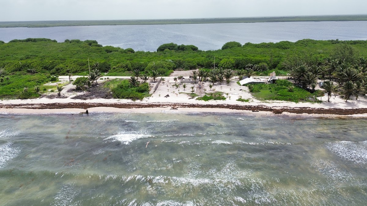 Bamboo Beach Mahahual gallery 5